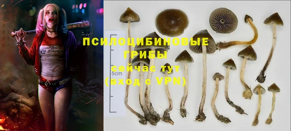 COCAINE Кулебаки
