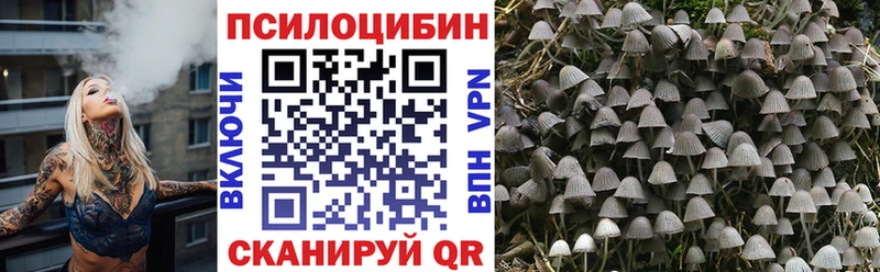 где купить   Старый Крым  Галлюциногенные грибы GOLDEN TEACHER 